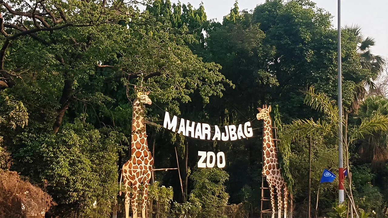 Places to Visit in Nagpur 9 Maharajbagh Zoo